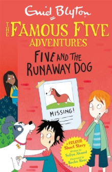 Image for Five and the runaway dog