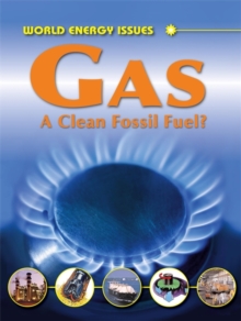 Image for Gas  : the clean fossil fuel?