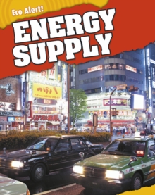 Image for Energy supply