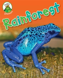 Image for Leapfrog Learners: Rainforest