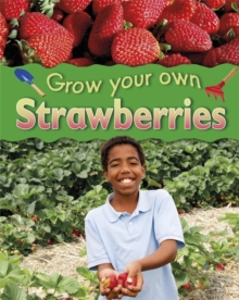 Image for Grow Your Own: Strawberries
