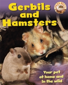 Image for Gerbils and hamsters