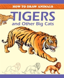 Image for How to draw animals: Tigers and other big cats