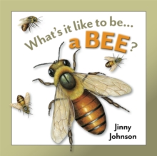 Image for What's It Like to Be: A Bee?