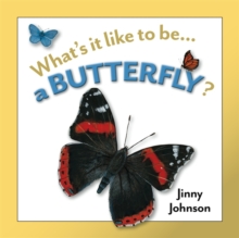 Image for What's it like to be ... a butterfly?