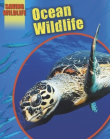 Image for Ocean wildlife