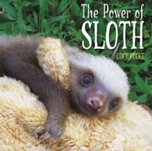 Image for The power of sloth