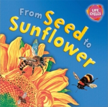 Image for Lifecycles: From Seed To Sunflower