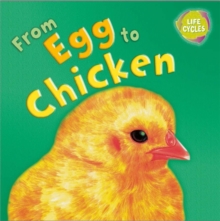 Image for From egg to chicken