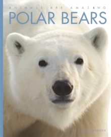 Animals Are Amazing: Polar Bears