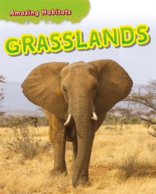 Image for Grasslands