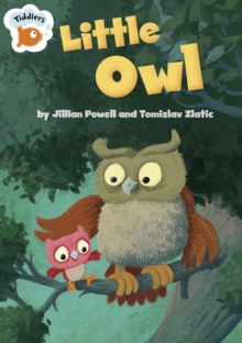 Image for Little Owl