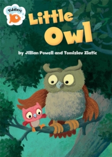 Image for Tiddlers: Little Owl