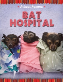 Image for Bat hospital