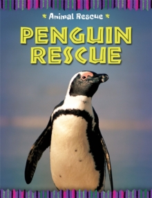 Image for Penguin rescue