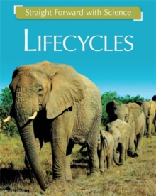 Image for Life cycles