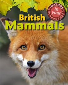 Image for Nature in Your Neighbourhood: British Mammals