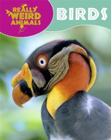 Really Weird Animals: Birds