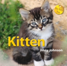 Image for Kitten