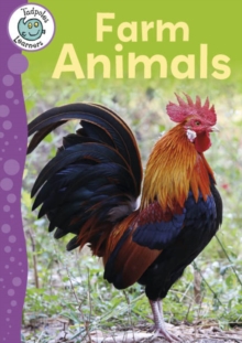 Image for Farm Animals