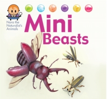 Image for Nora the Naturalist's Animals: Minibeasts