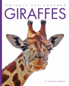 Image for Giraffes