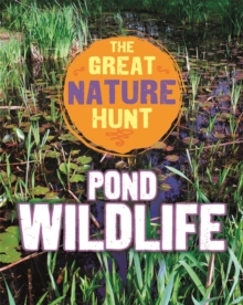 Great Nature Hunt: Pond Wildlife
