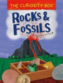 Image for Rocks & fossils