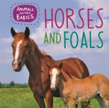 Image for Horses and foals