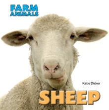 Image for Sheep