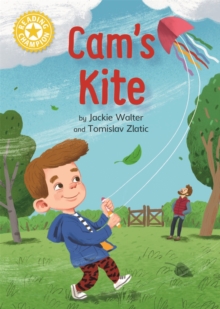 Image for Cam's kite