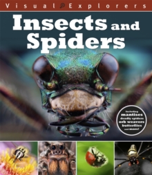 Image for Visual Explorers: Insects and Spiders