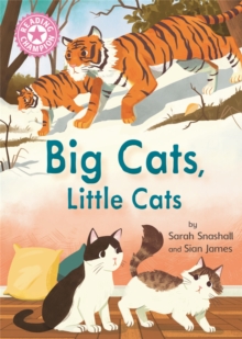 Image for Reading Champion: Big Cats, Little Cats