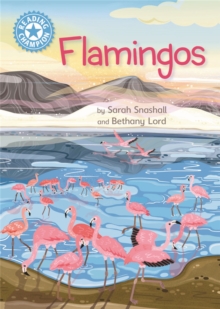 Image for Reading Champion: Flamingos