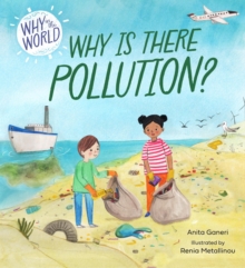 Image for Why is there pollution?