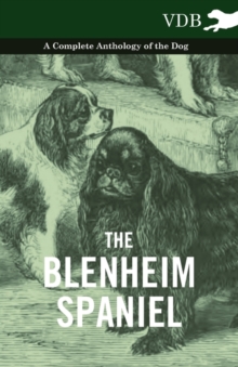 Blenheim Spaniel - A Complete Anthology of the Dog -
