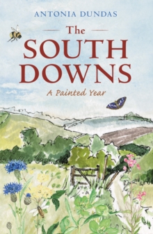 South Downs