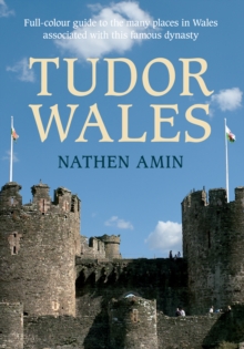 Image for Tudor Wales: a guide