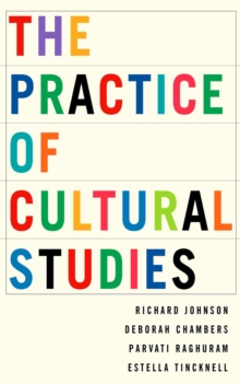 Image for The practice of cultural studies