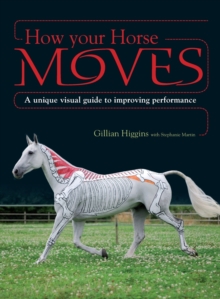 How Your Horse Moves: A Unique Visual Guide to Improving Performance