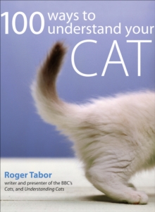 Image for 100 ways to understand your cat