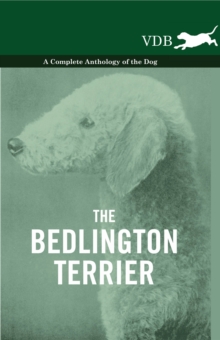 Image for Bedlington Terrier - A Complete Anthology of the Dog -.