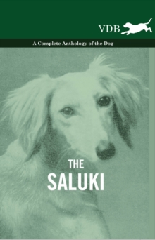 Image for Saluki - A Complete Anthology of the Dog.
