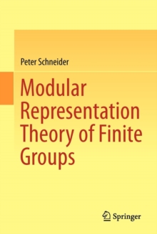 Image for Modular representation theory of finite groups