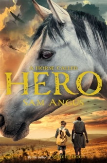 Image for A horse called Hero