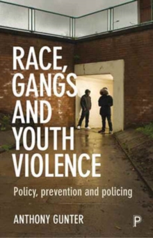 Image for Race, Gangs and Youth Violence