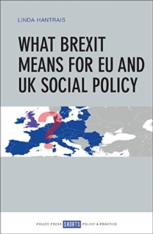 Image for What Brexit Means for EU and UK Social Policy