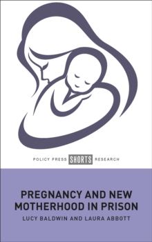 Image for Pregnancy and New Motherhood in Prison