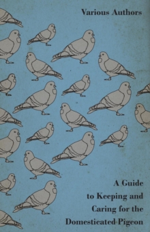 Image for A Guide to Keeping and Caring for the Domesticated Pigeon