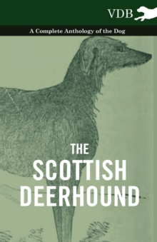 Image for Scottish Deerhound - A Complete Anthology Of The Dog